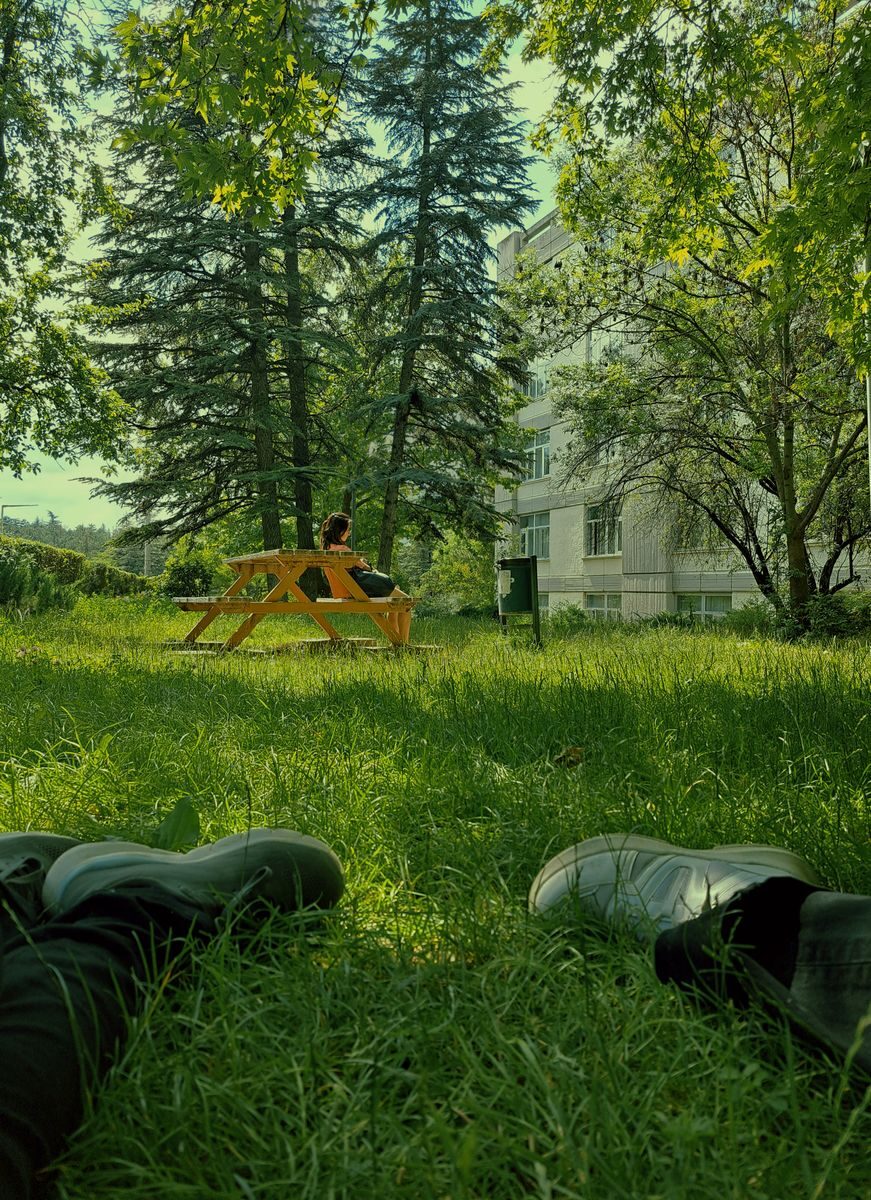 A tranquil outdoor scene featuring a person on a bench in a sunlit park with lush greenery and trees.