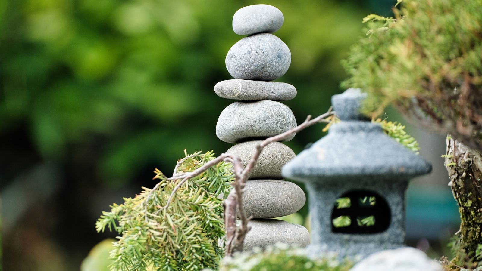 Environnement zen qui invite à la détente